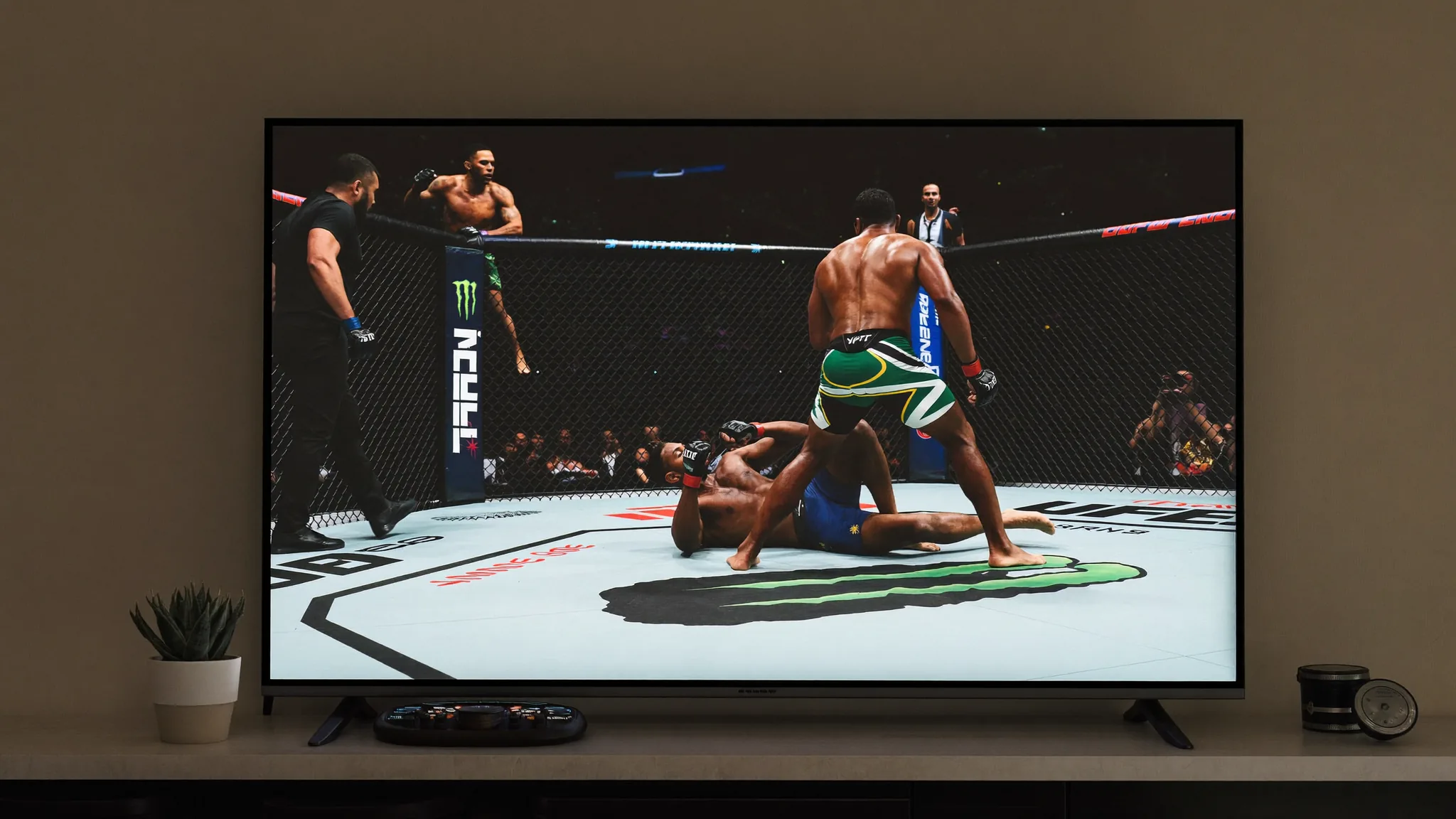 How to Watch UFC Live in South Africa